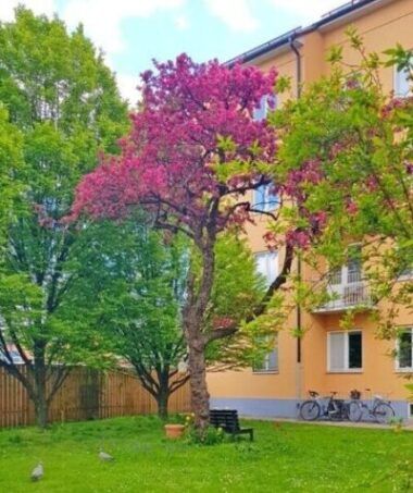 Uteplats på innergården